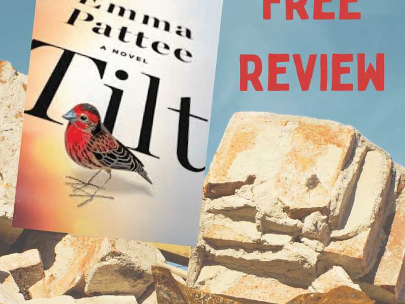 13. Tilt (Book&nbsp;Review)