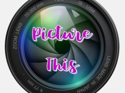 Picture This (January 20th,&nbsp;2026)